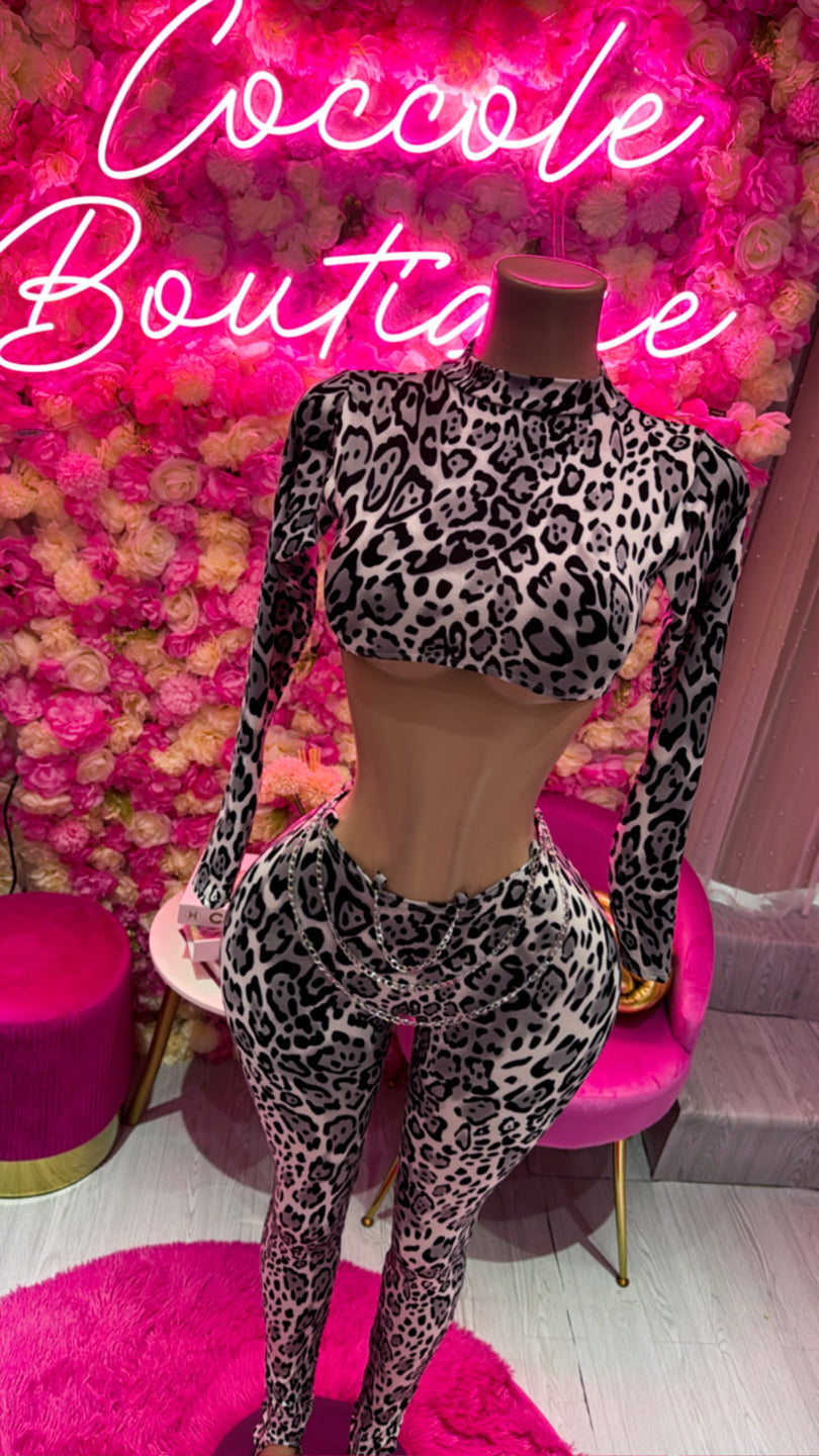 Set felina