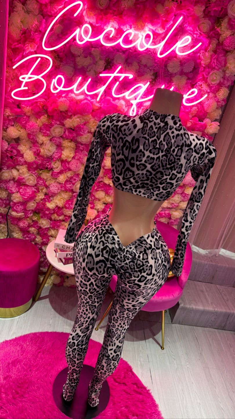 Set felina