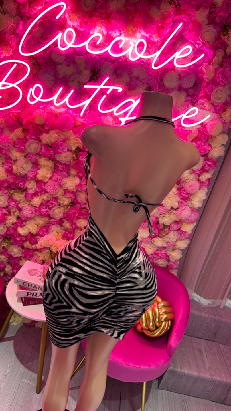 Zebra Dress 🦓