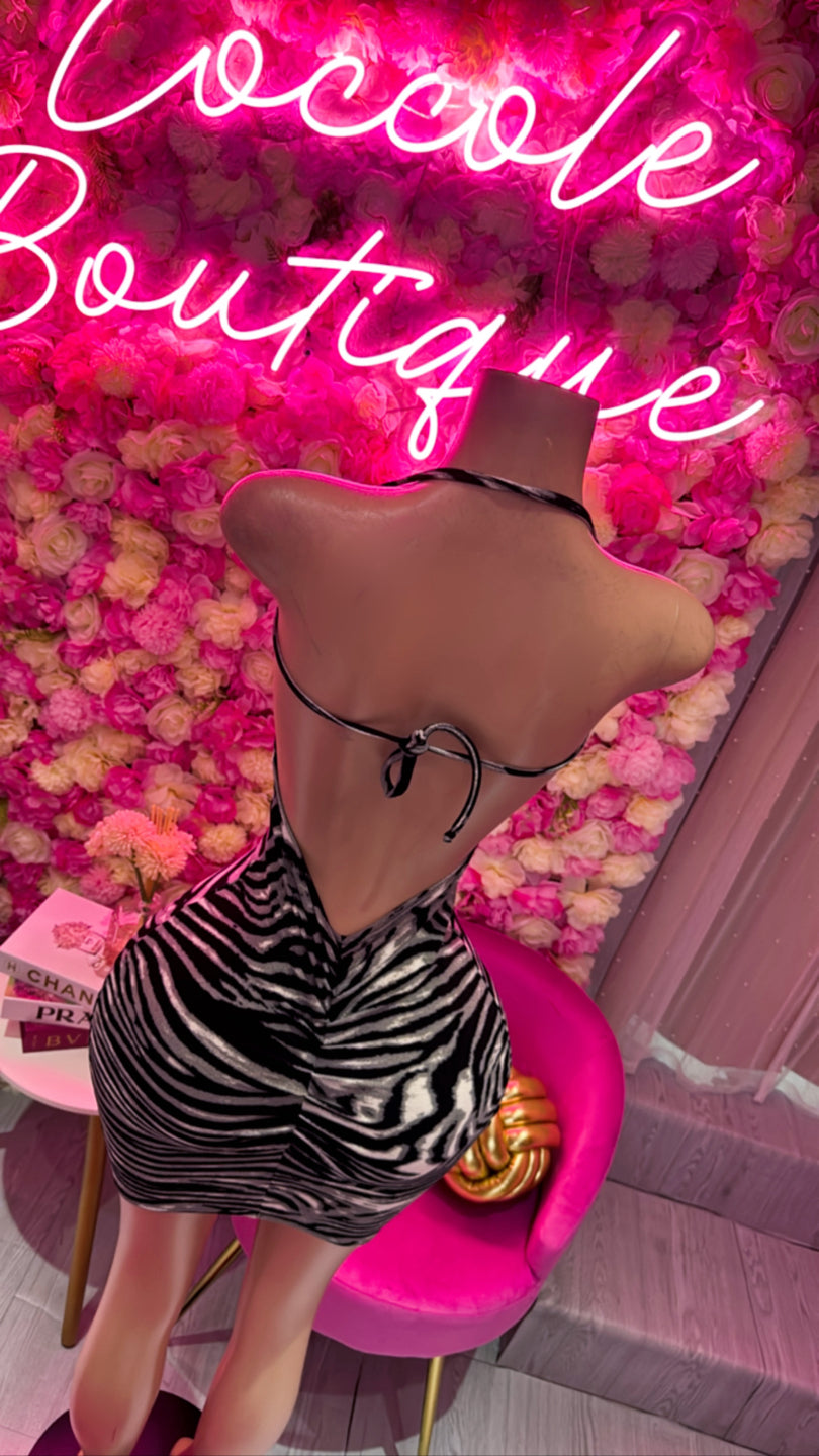 Zebra Dress